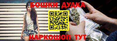 молекула духа Будённовск