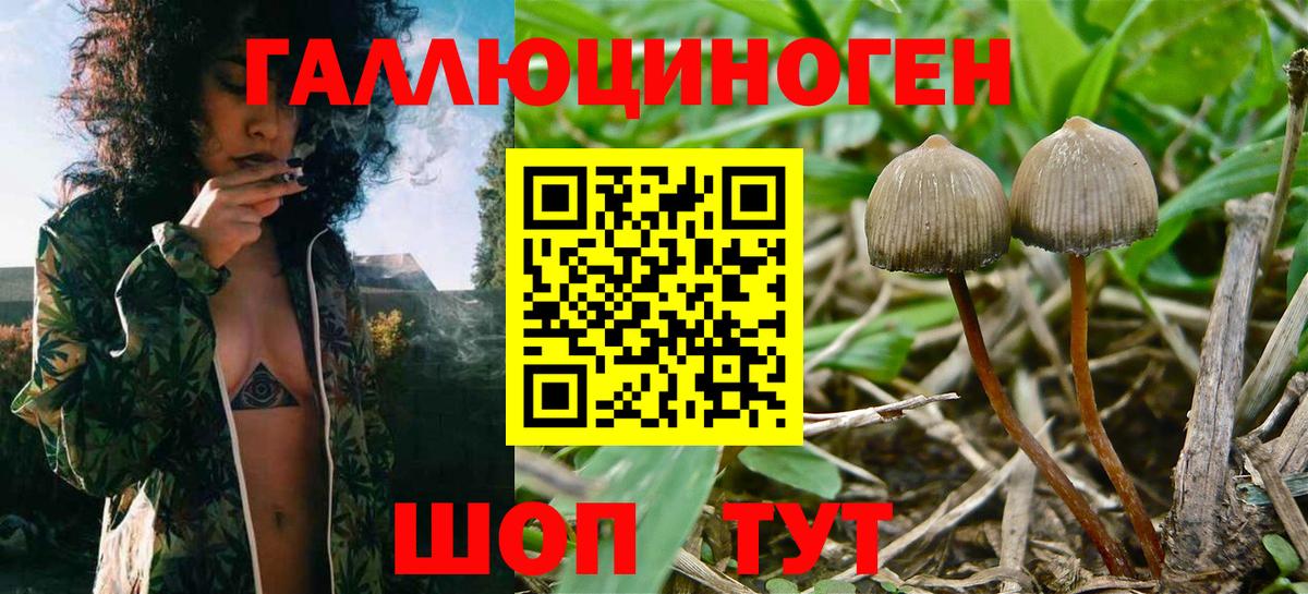 Трёхгорный  Псилоцибиновые грибы мицелий  Вход с VPN 